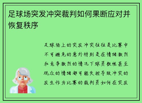 足球场突发冲突裁判如何果断应对并恢复秩序