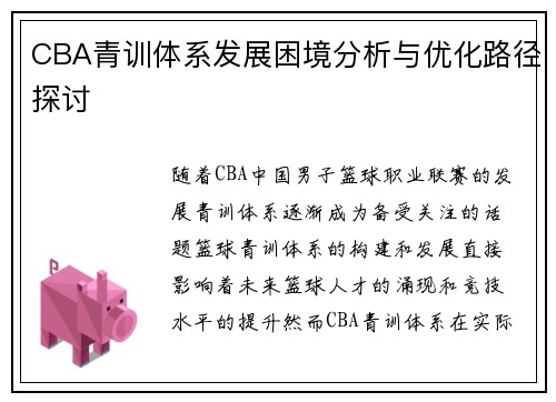 CBA青训体系发展困境分析与优化路径探讨